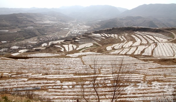 西靈山你白山.jpg
