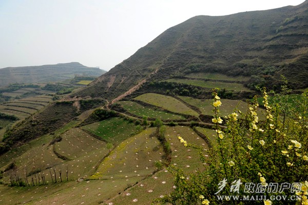 DYH_9560.jpg DYH_9560.jpg