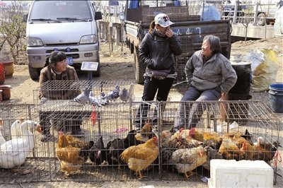 上海4歲感染H7N9禽流感男童康復(fù)