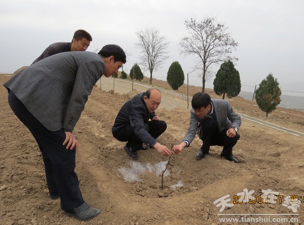 城科梁至槐樹(shù)梁千畝核桃示范點(diǎn).jpg