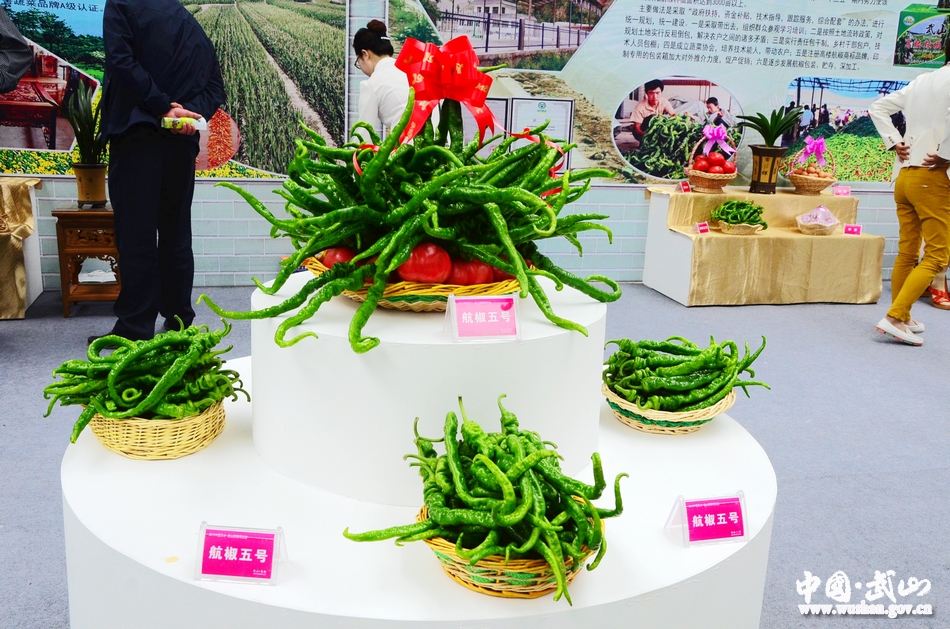 點擊查看大圖